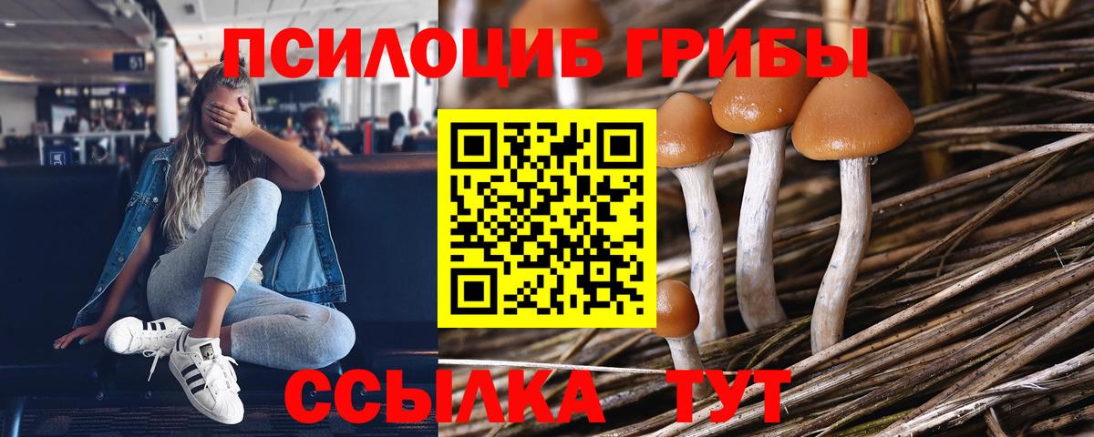 Галлюциногенные грибы MAGIC MUSHROOMS Миасс
