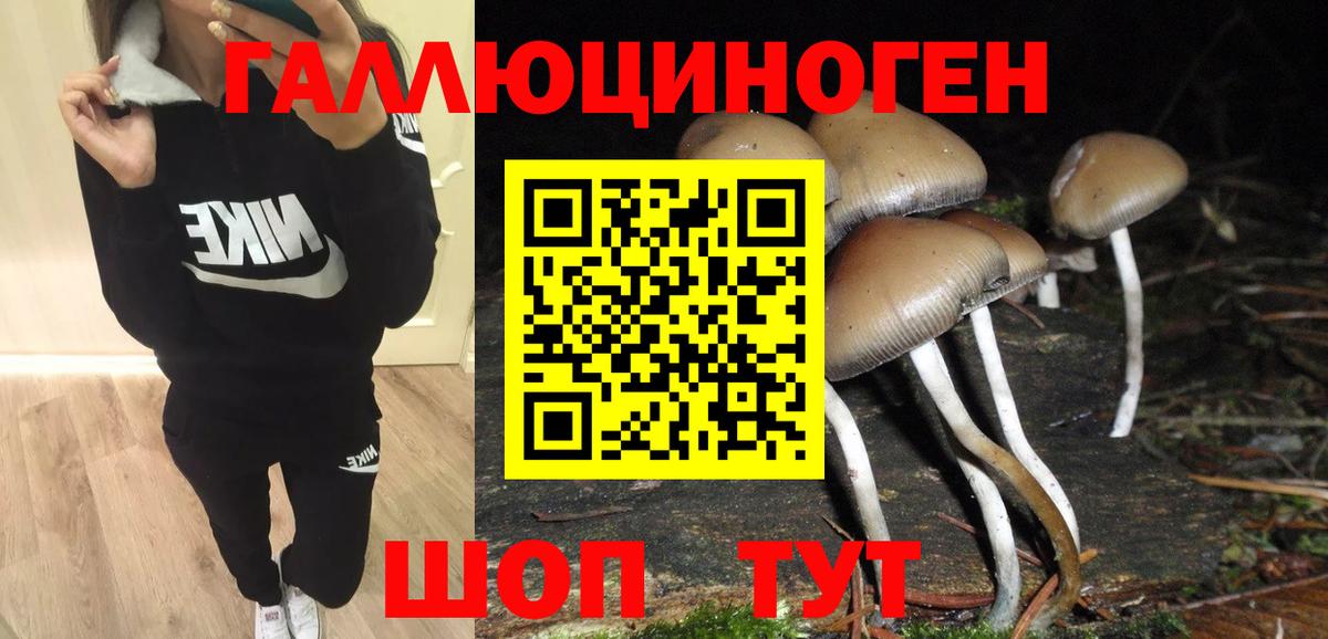 Галлюциногенные грибы Cubensis  Вход с VPN  Миасс 